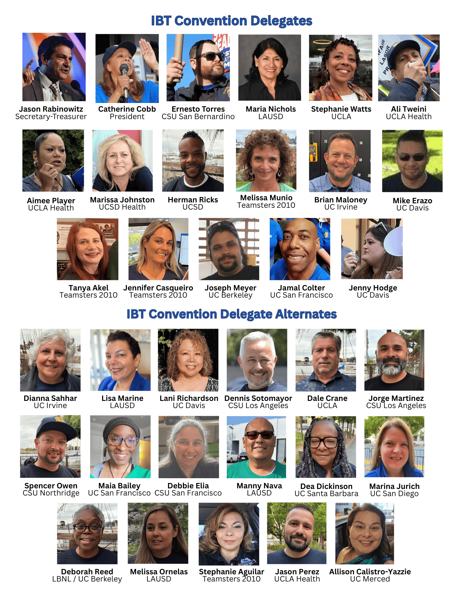 IBT Delegates, Alternates Election Results 1 Delegates Graphic